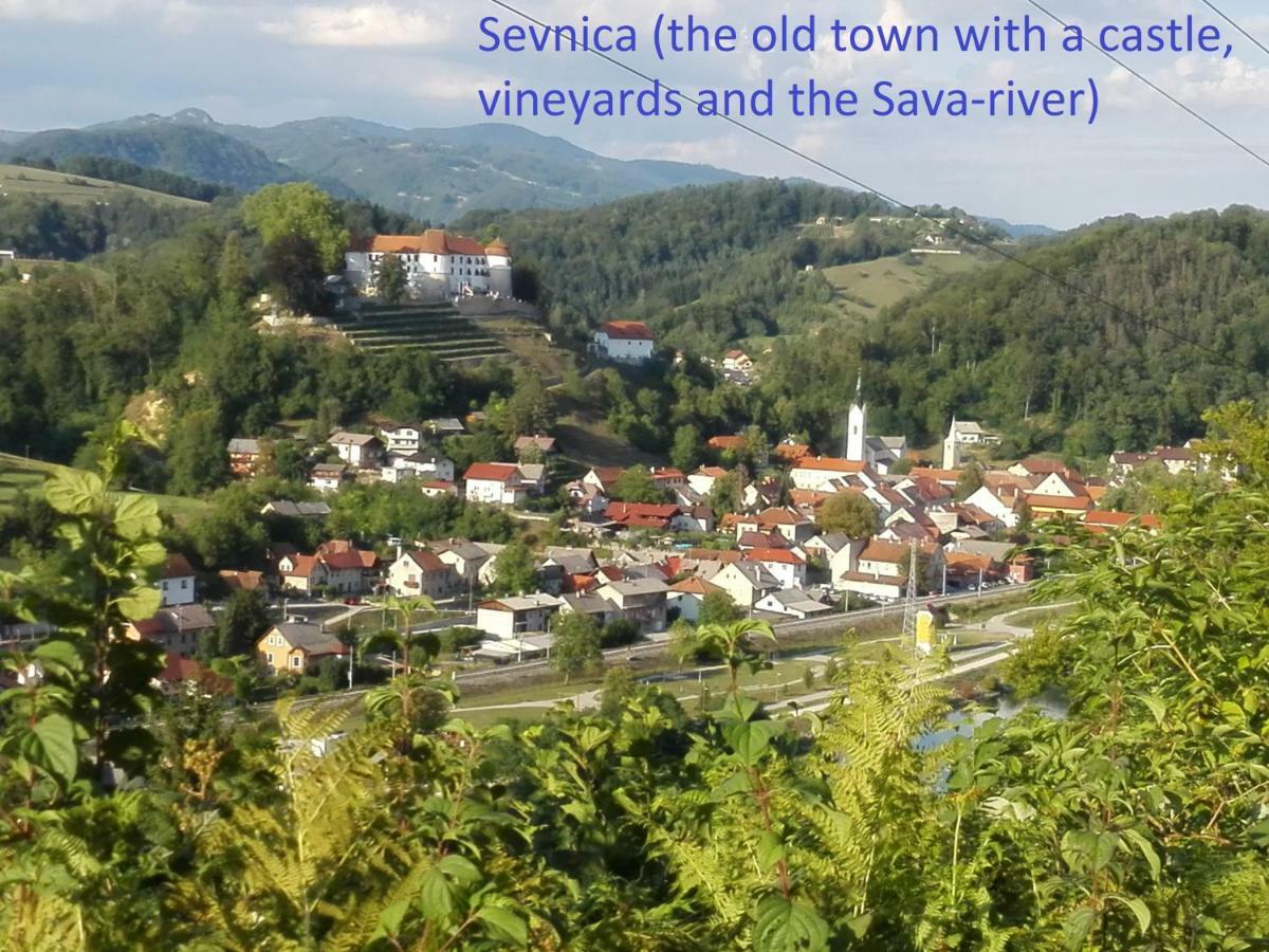 Villa Getaway "At The Three Lights" à Sevnica Extérieur photo